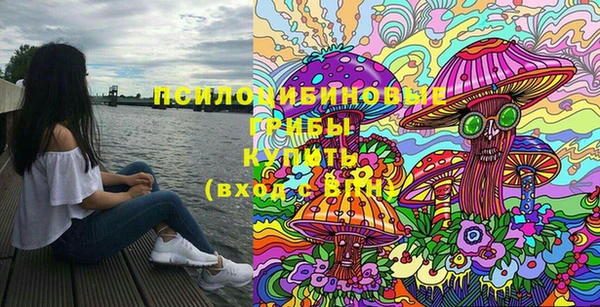 ешки Богородск